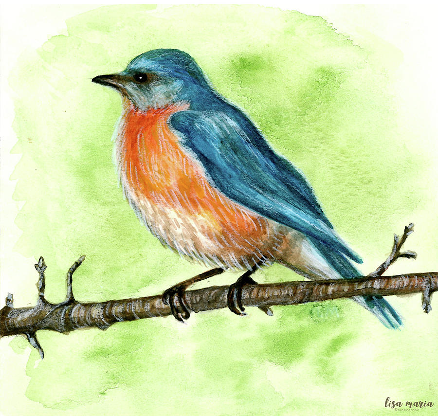 Bluebird Painting - Bluebird by Lisa Maynard