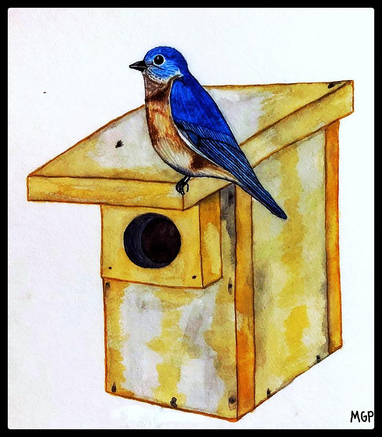 Bluebird Nest Box W/ Border Painting