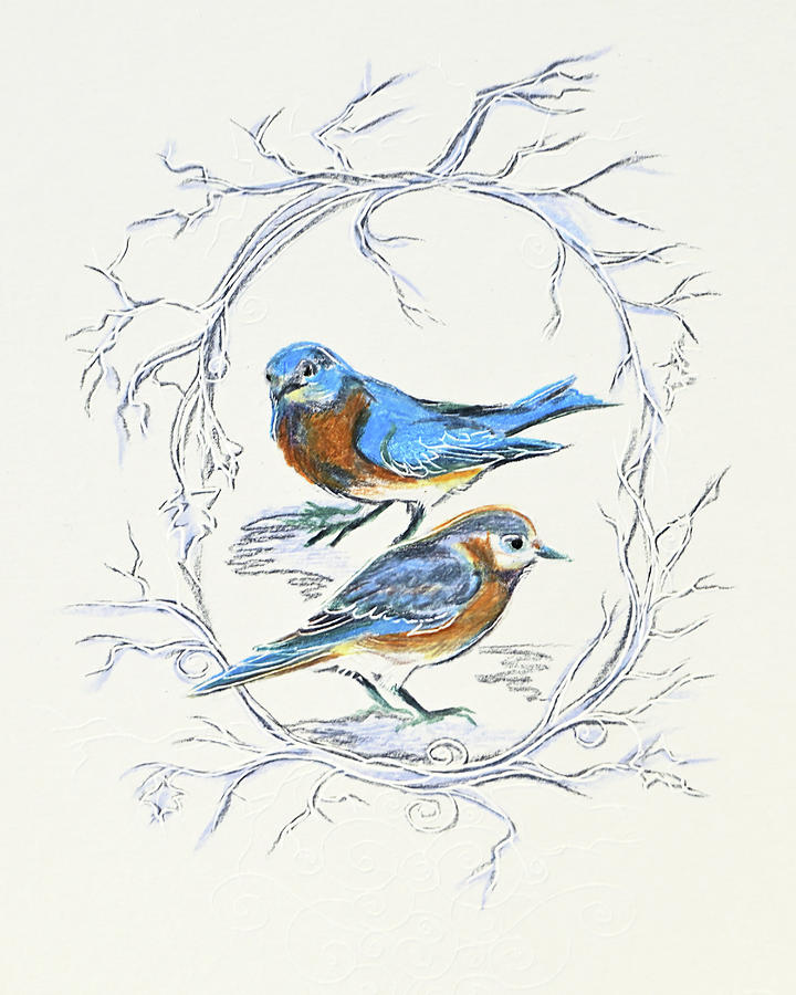 Bluebird of New Year 2024 Drawing by Katherine Nutt