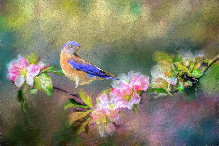 Bluebird On Pink Flowers  Impression And Texture Mixed Media