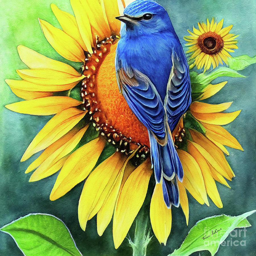 Bluebird On The Sunflower Painting by Tina LeCour