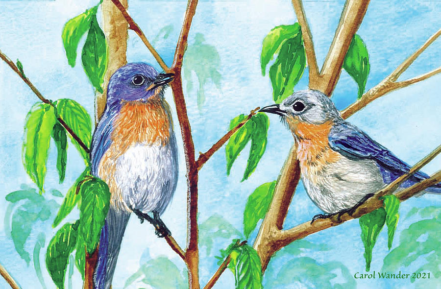 Bluebird Pair Painting