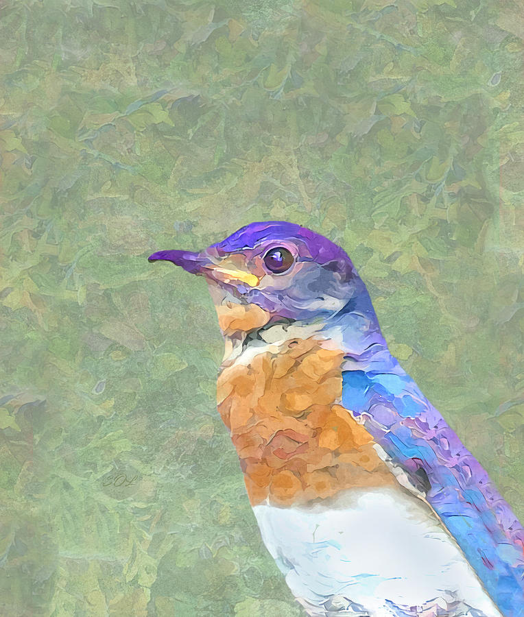 Bluebird Portrait Painted Digital Art Photograph by Sandi OReilly