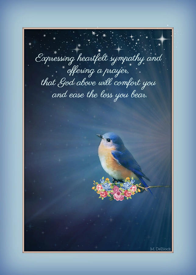Bluebird Sympathy Greeting Card Photograph by Marilyn DeBlock