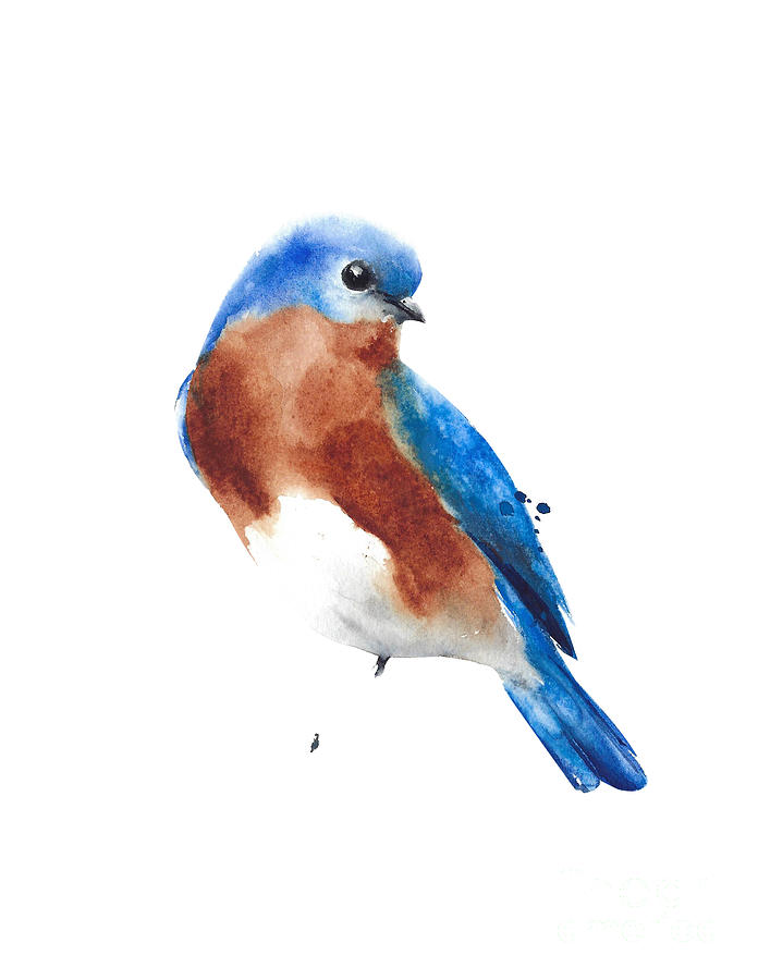 Bluebird watercolor art Painting by Yulia Shevchenko - Fine Art America