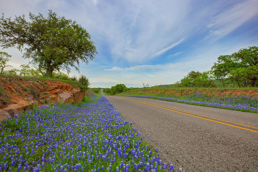 Bluebonnet Drives in Texas 4071 Photograph by Rob Greebon - Fine Art ...