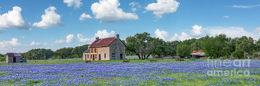 Spring Photograph - Bluebonnet Farmhouse in Texas Hill Country Pano by Bee Creek Photography - Tod and Cynthia