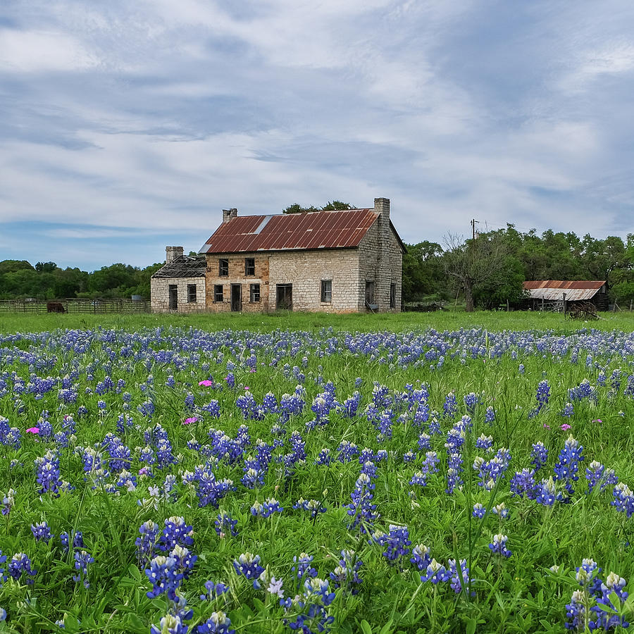 Bluebonnet House Marble Falls Texas Photograph