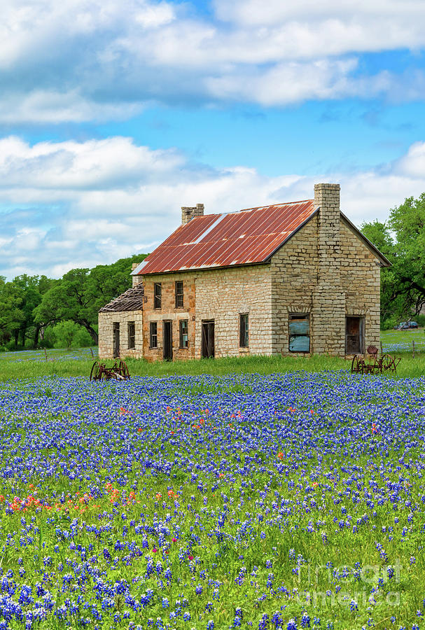 Bluebonnet House Vertical Photograph by Bee Creek Photography - Tod and ...