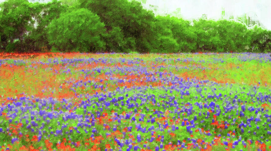 Bluebonnet, Texas Landscape - 01 Painting