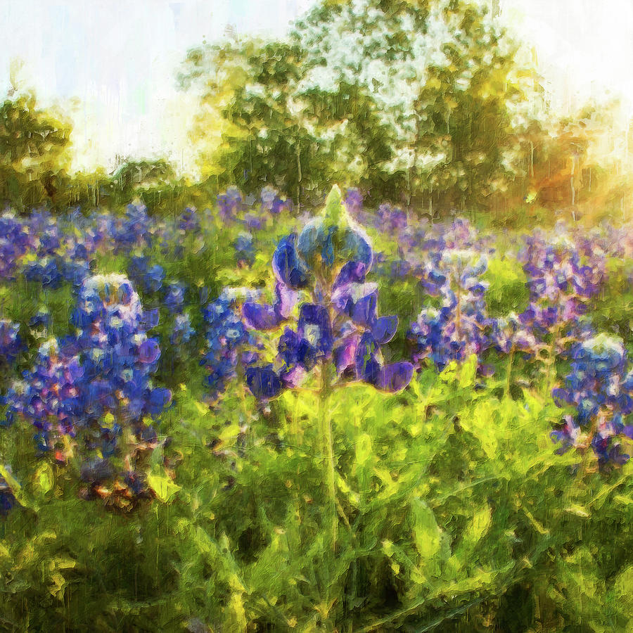 Bluebonnet, Texas Landscape - 02 Painting by AM FineArtPrints