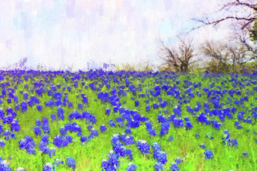 Bluebonnet, Texas Landscape - 05 Painting by AM FineArtPrints