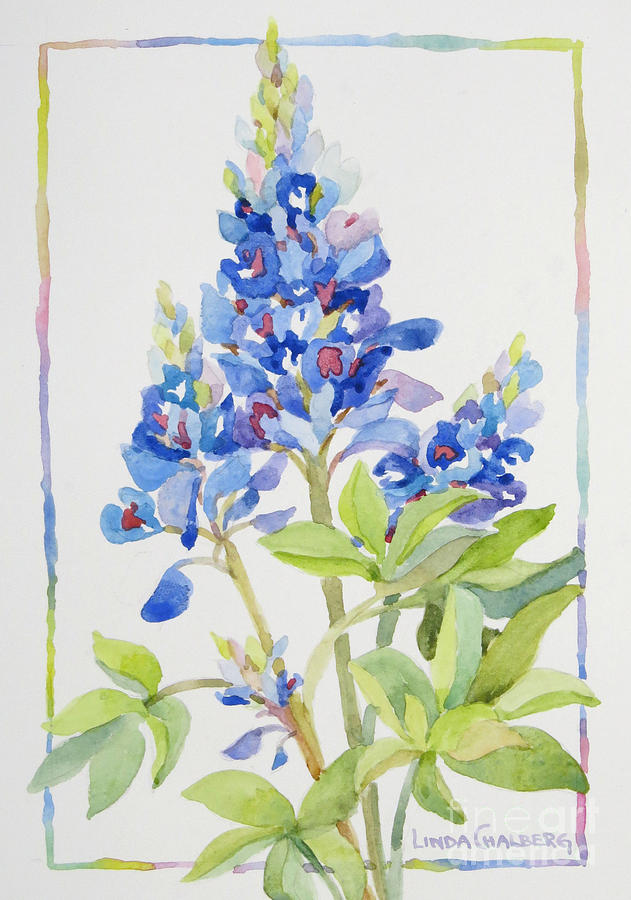Watercolor Painting - Bluebonnet Trio by Linda Chalberg