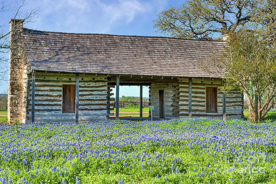 Landscape Photograph - Bluebonnets and Log Cabin by Bee Creek Photography - Tod and Cynthia