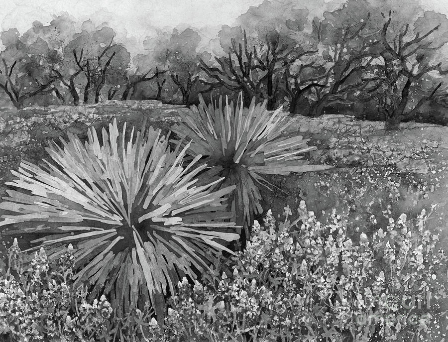 Bluebonnets And Yucca In Black And White Painting