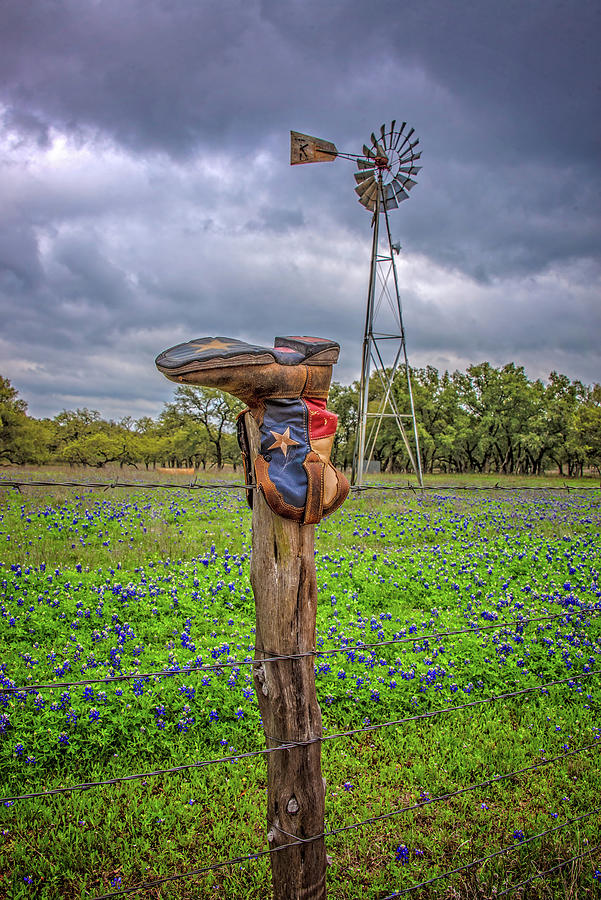 Bluebonnets, Boots and a Windmill Photograph by Lynn Bauer