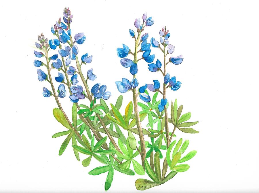 Bluebonnets Painting by Kim Whitton