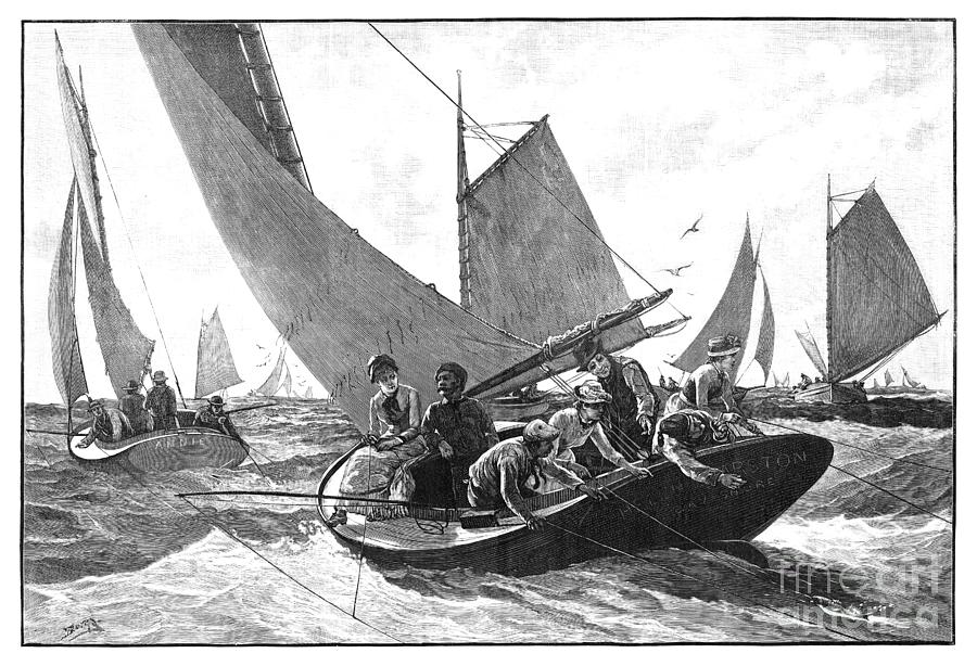 Bluefish Fishing, 1885 Drawing by M J Burns