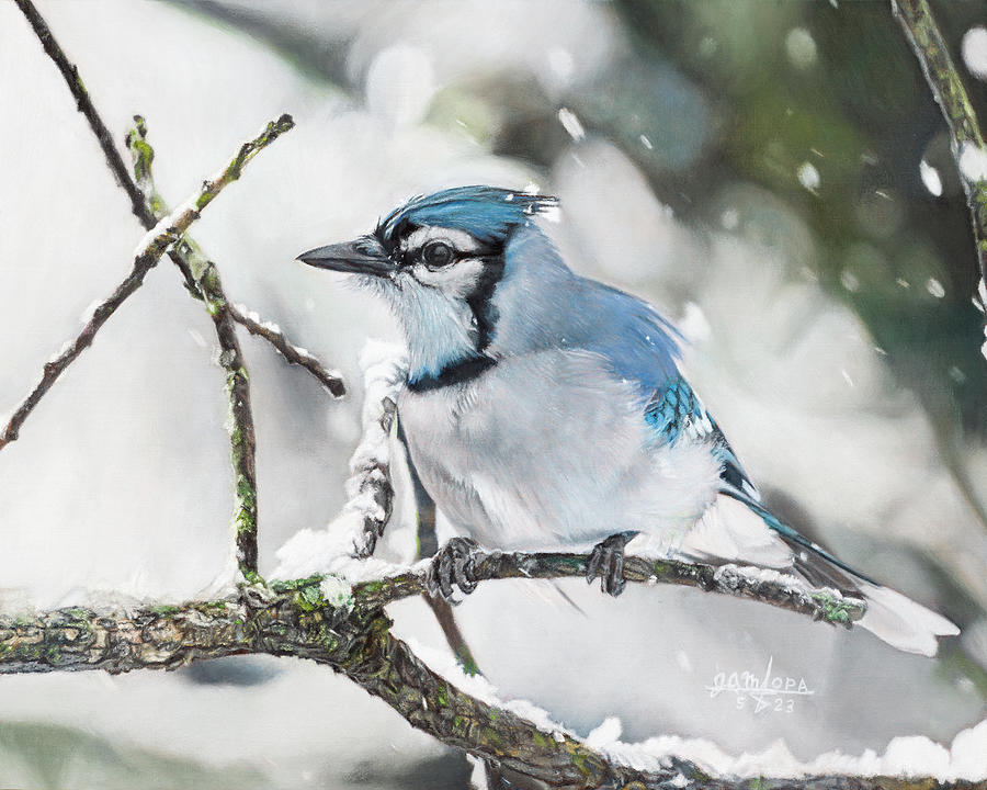 Bluejay in Snow Painting by Joshua Martin