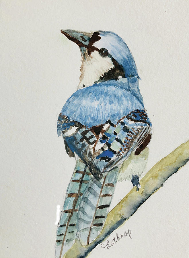 Bluejay on Branch Painting by Christine Lathrop