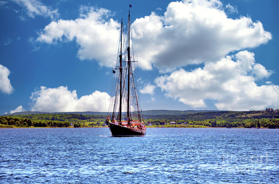 Bluenose II  Sailing into Port  Photograph by Elaine Manley