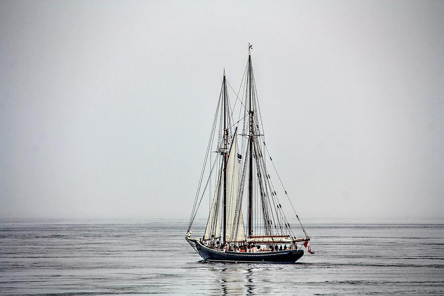 Bluenose ll in the bay of Fundy Photograph by David Matthews