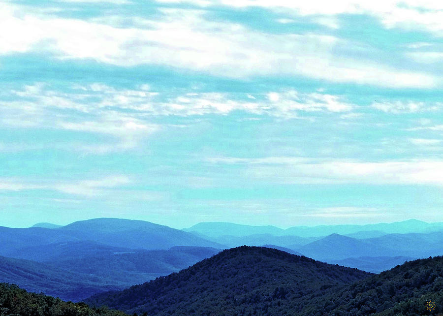 Blues for Days Photograph by Staci Grimes Blues for Days Photograph by Staci Grimes
