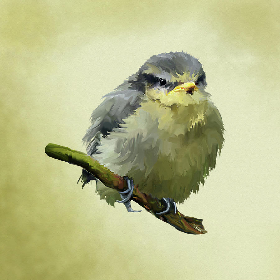 Grumpy Bluetit Fledgeling Painting by Bamalam Art - Fine Art America