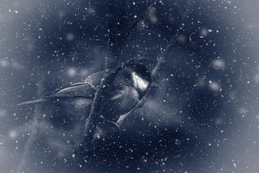 BlueTit in Wintery Blue Digital Art by LGP Imagery