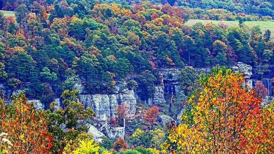 Fall Bluff line Photograph by Mary Halpin