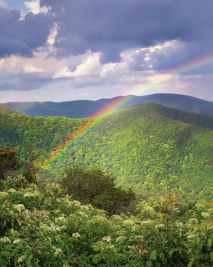 Bluff Mountain Rainbow - Blue Ridge Mountains Photograph by Susan Rissi Tregoning