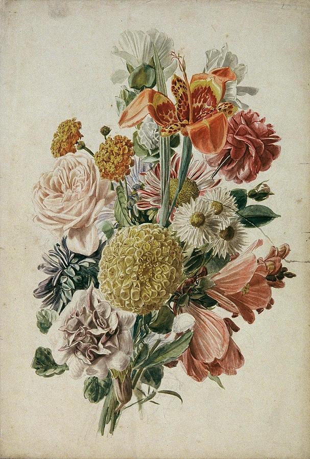 Blumenstrauss mit Tagetes und Lilie Drawing by Leopold von Stoll Dutch