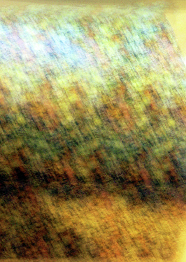 Blur Abstract - 001 Photograph
