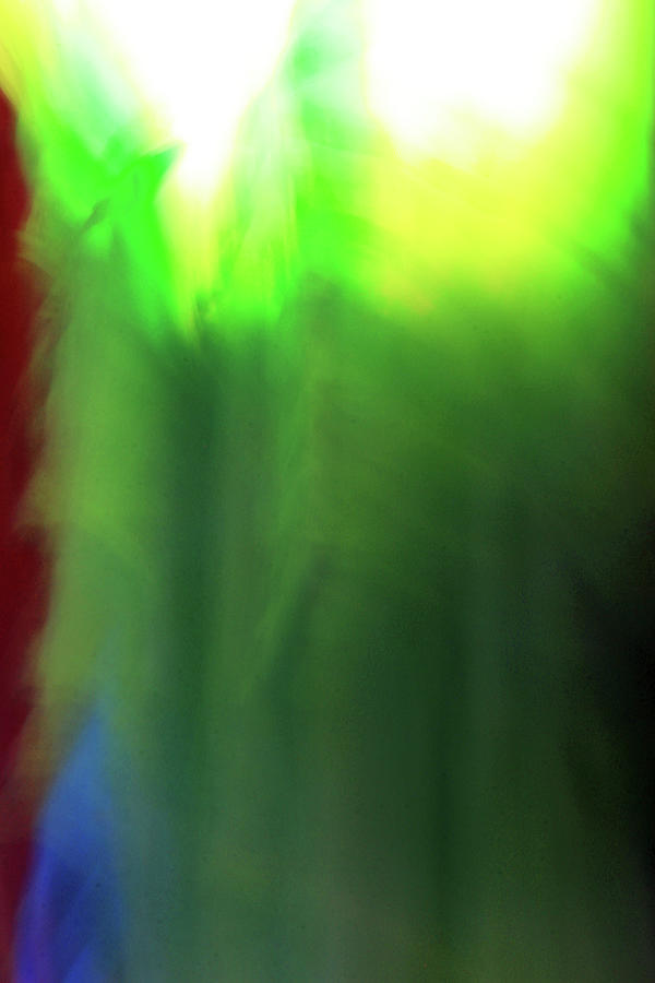 Blur Abstract 022021b Photograph