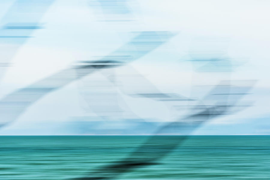 Blurred Branches, Turquoise Sea Photograph