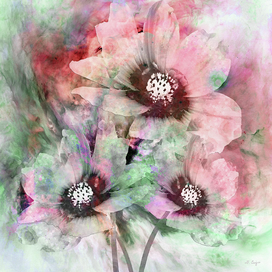 Blush Cosmos Flower Floral Art Painting by Sharon Cummings