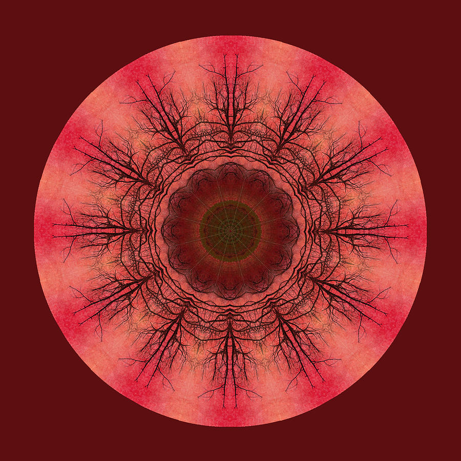 Blush Tree Mandala Digital Art by Amy Neufeld