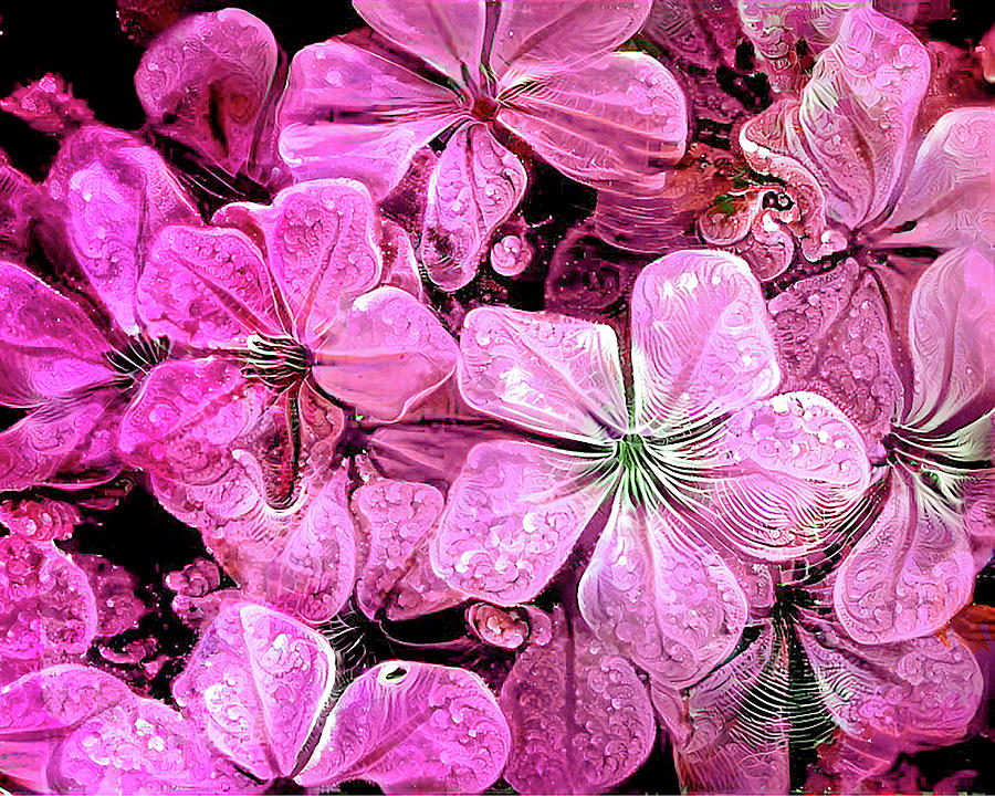 San Jose Photograph - Blushin Blooms ... by Judy Foote-Belleci