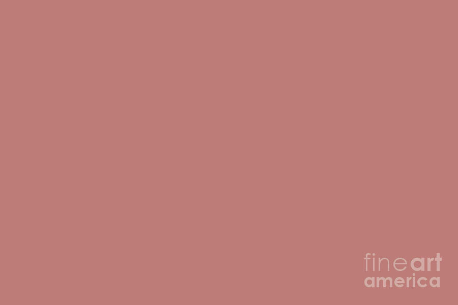 Blushing Cheeks Dark Pastel Pink Solid Color Pairs To Sherwin Williams Coral Rose SW 9004 Digital Art by PIPA Fine Art - Simply Solid
