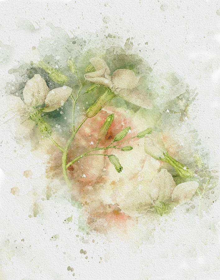 Blushing Petals Mixed Media by Colleen Taylor