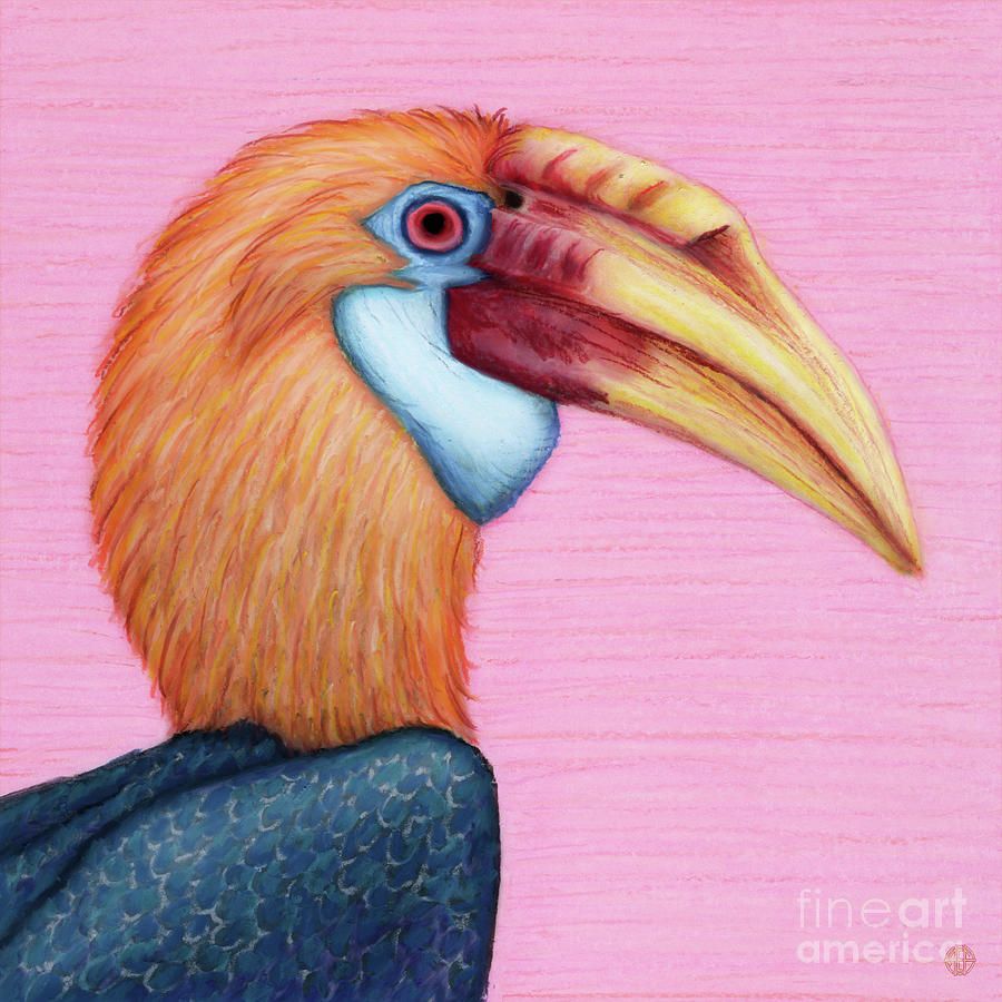 Blyths Hornbill Painting by Amy E Fraser
