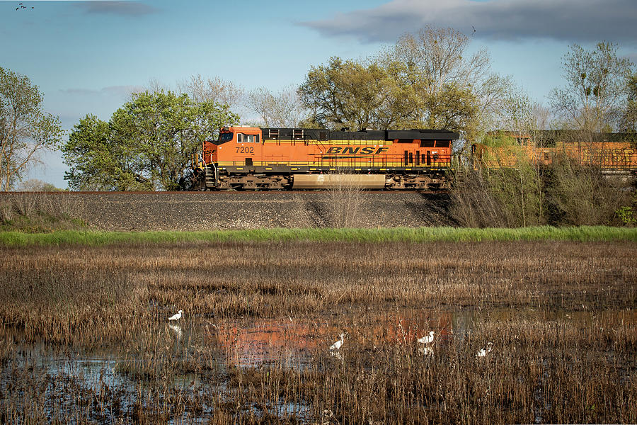 BNSF Locomotive Photograph by Gary Geddes