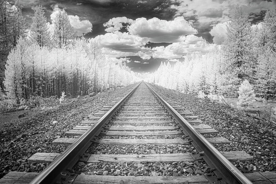 Black And White Photograph - BNSF Tracks in Infrared by Mike Lee