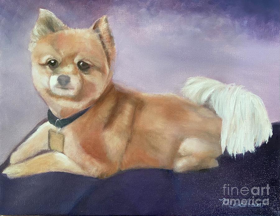 Dog Painting - Bo by Sheila Mashaw