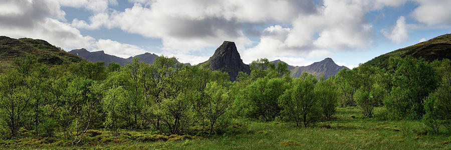 Bo Vesteralen Mountains and Forest Norway Photograph by Sonny Ryse