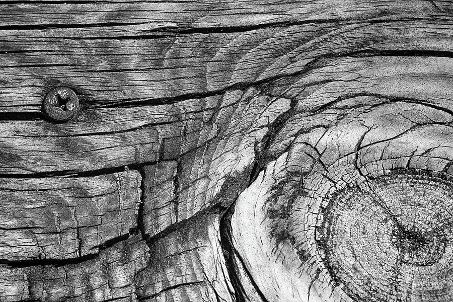 Boardwalk Abstract BW 100722 Photograph by Mary Bedy