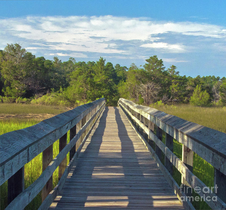 Boardwalk Across The Marsh Photograph by Lydia Holly