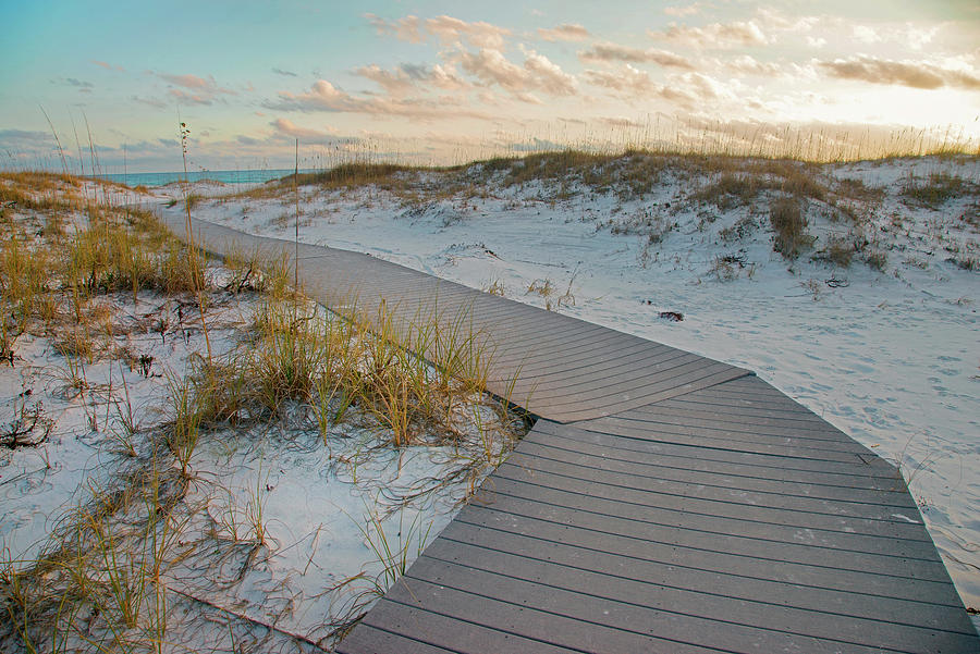 Gulf Islands National Seashore Photograph - Boardwalk at Gulf Islands National Seashore, Florida by Tim Fitzharris