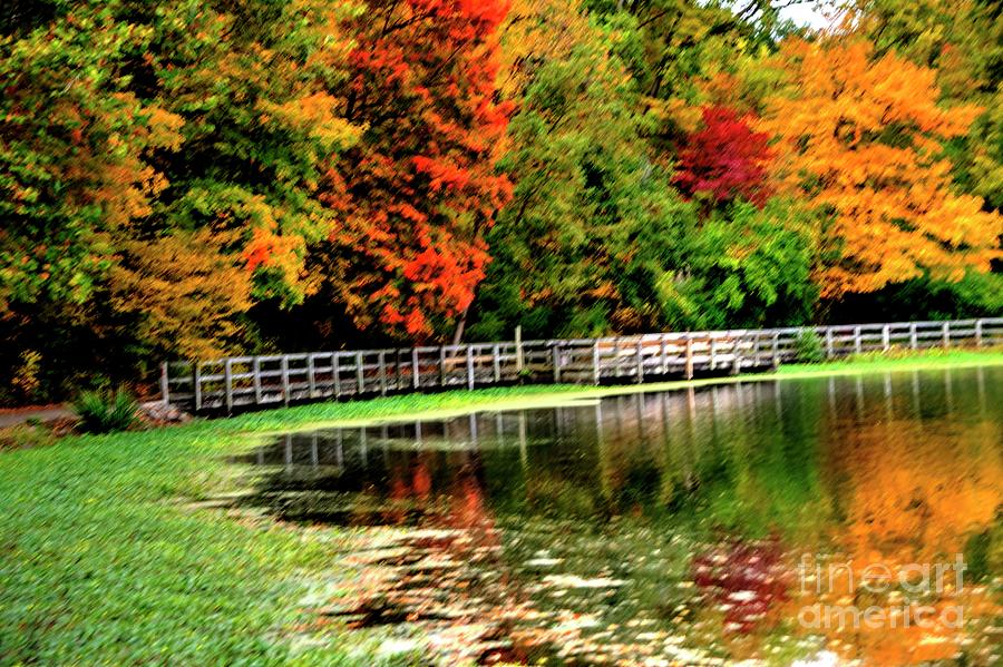 Boardwalk by the Lake Photograph by Paul Lindner - Fine Art America