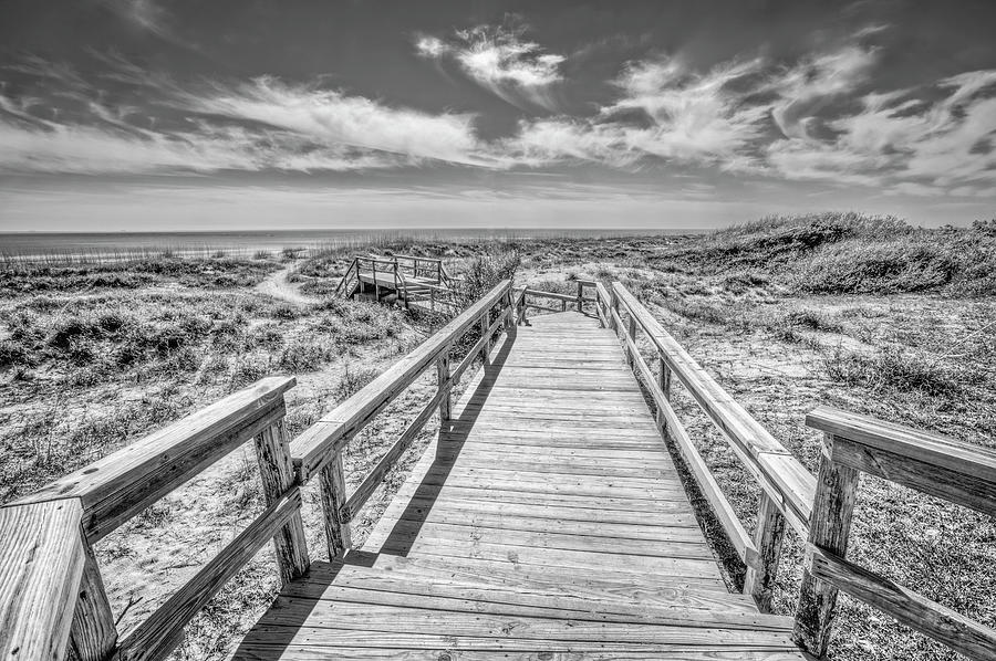 Boardwalk into the Sand Dunes Black and White Photograph by Debra and Dave Vanderlaan